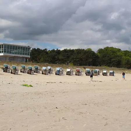 Jack Sparrow Ref. 189689-2 Daire